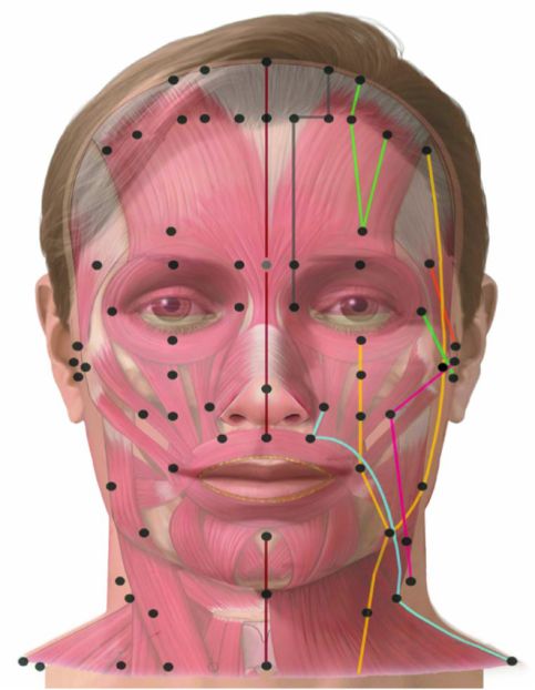 face acupuncture