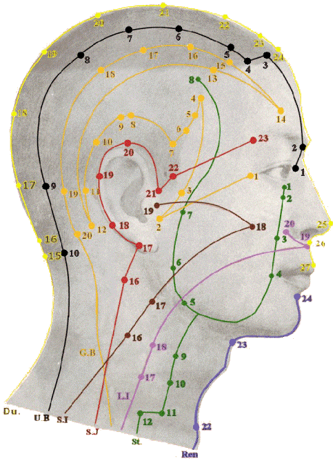 acupuncture meridians