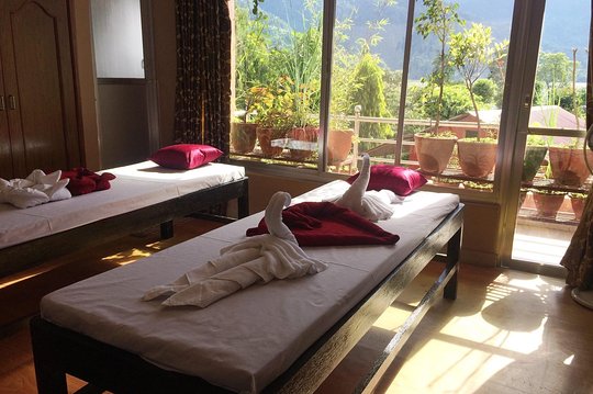 Natural Health Program